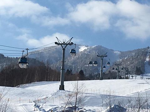 富良野スキー場 リフト券 19歳無料 | ホワイトコアラレンタルスキー 富良野
